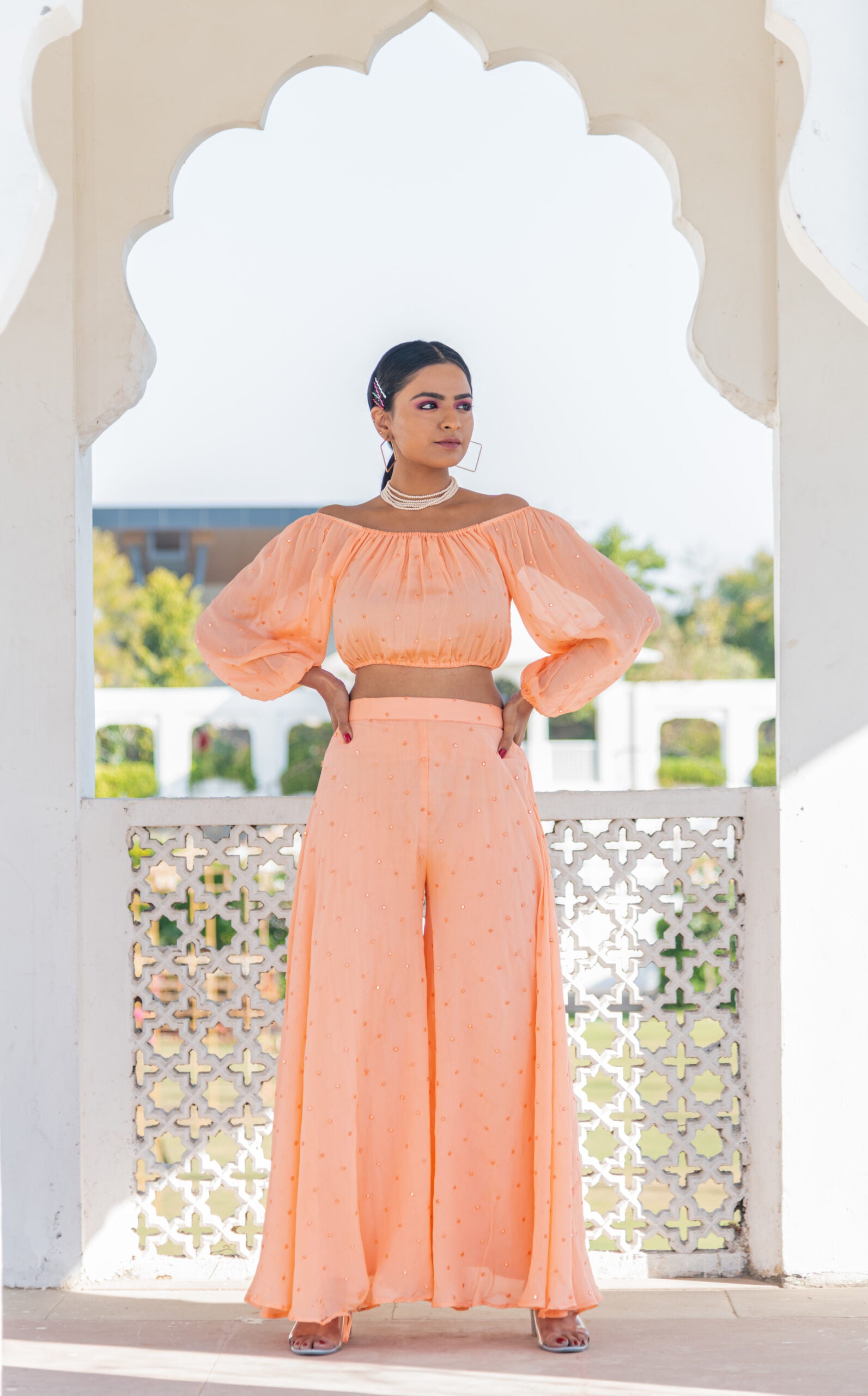 Crop Top & Plazzo Set Crop Top & Plazzo Set