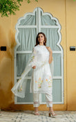 Handpainted Organza Kurta Set